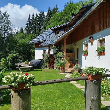 Alm-House Hollmann Daire Železná Ruda Dış mekan fotoğraf
