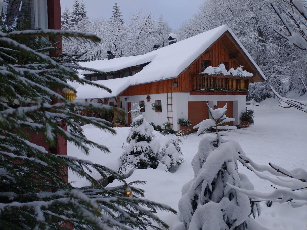Alm-House Hollmann Daire Železná Ruda Dış mekan fotoğraf