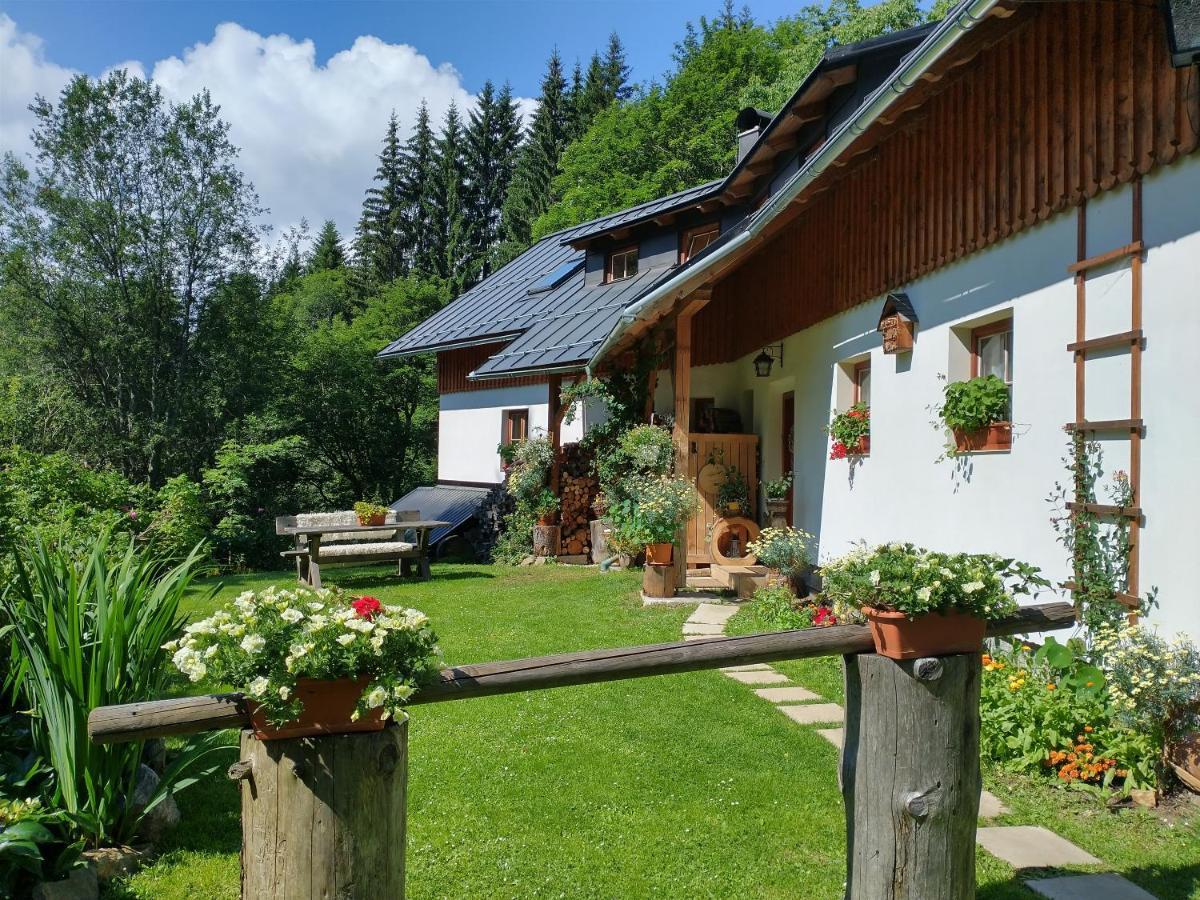 Alm-House Hollmann Daire Železná Ruda Dış mekan fotoğraf