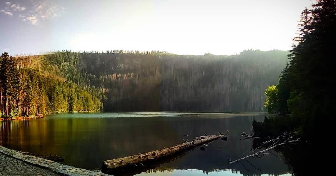 Alm-House Hollmann Daire Železná Ruda Dış mekan fotoğraf