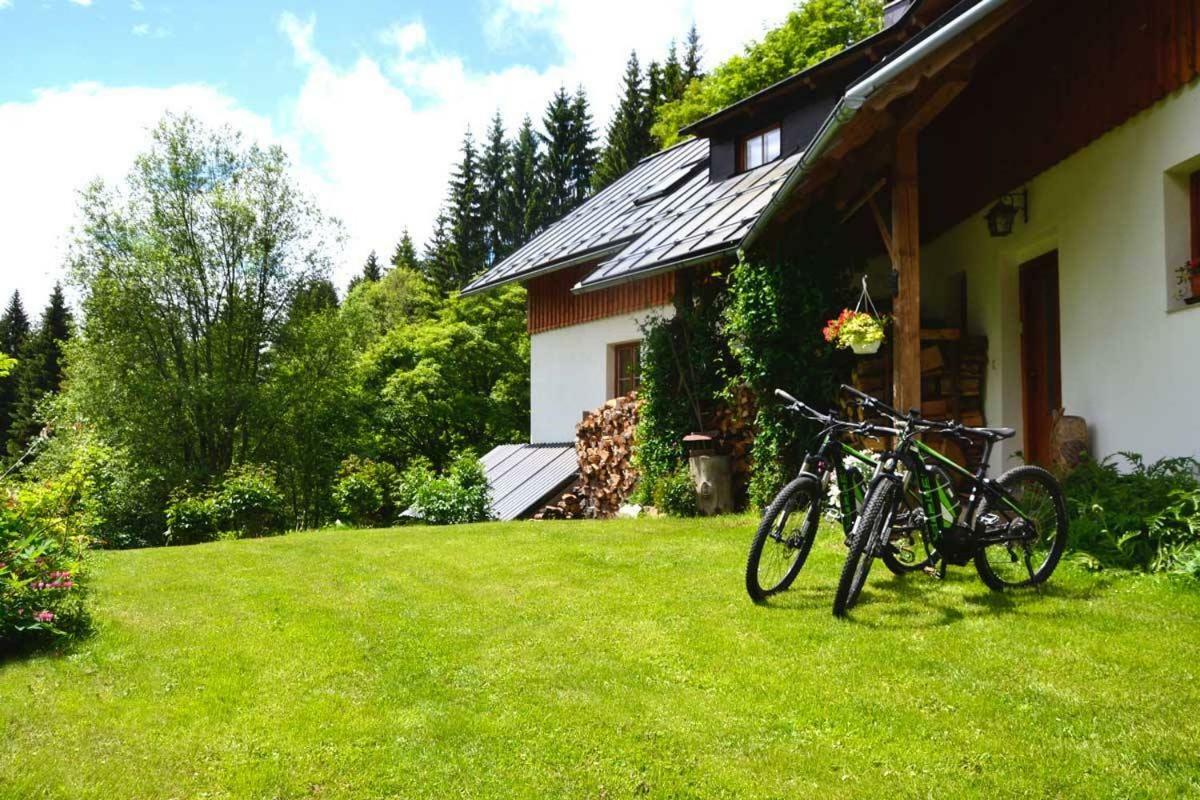 Alm-House Hollmann Daire Železná Ruda Dış mekan fotoğraf